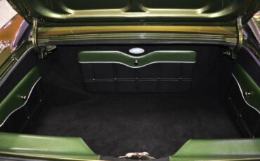Dodge-charger-rt-1969-green-12