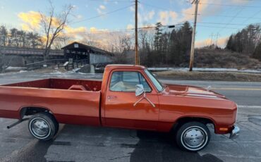 Dodge-d-100-1986-orange-1