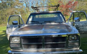 Dodge-d-series-d250-1991-white-1