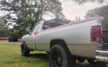 Dodge-d-series-d250-diesel-1991-grey-3