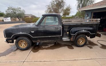 Dodge-d100-1976-black-8
