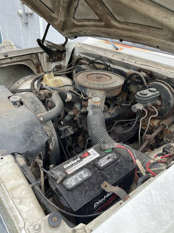 Dodge-d100-1986-white-5