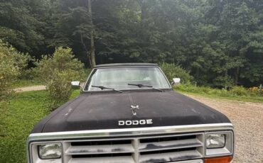 Dodge-d100-1989-black-2