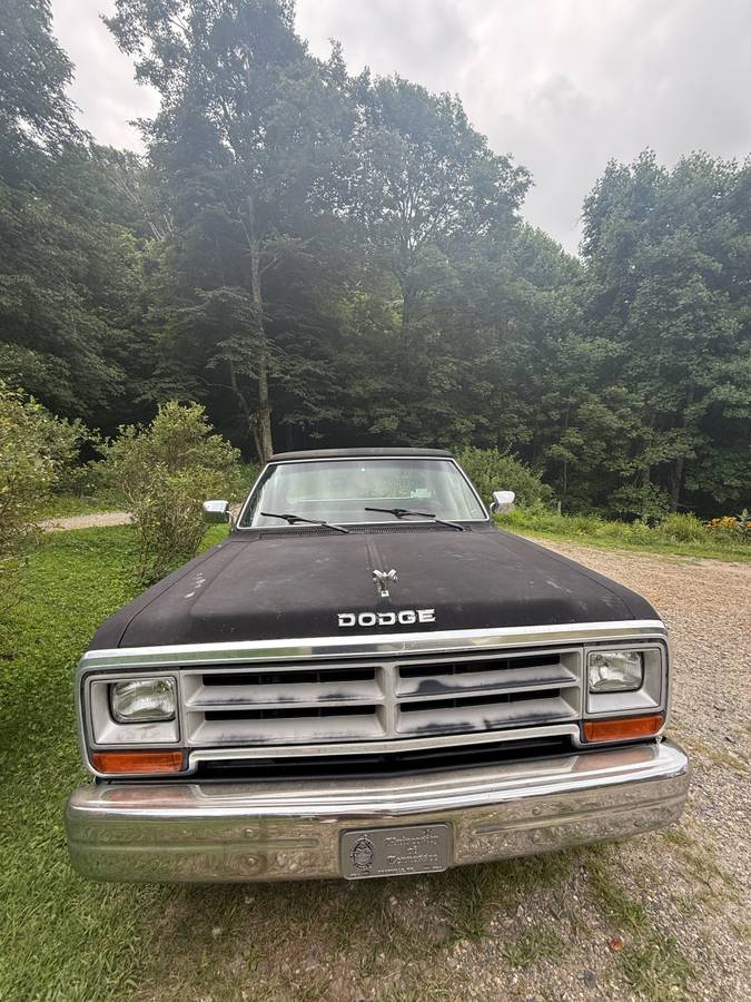 Dodge-d100-1989-black-2