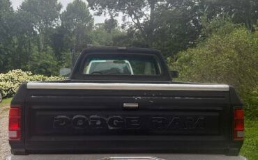 Dodge-d100-1989-black-3