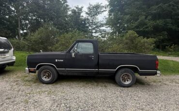 Dodge-d100-1989-black