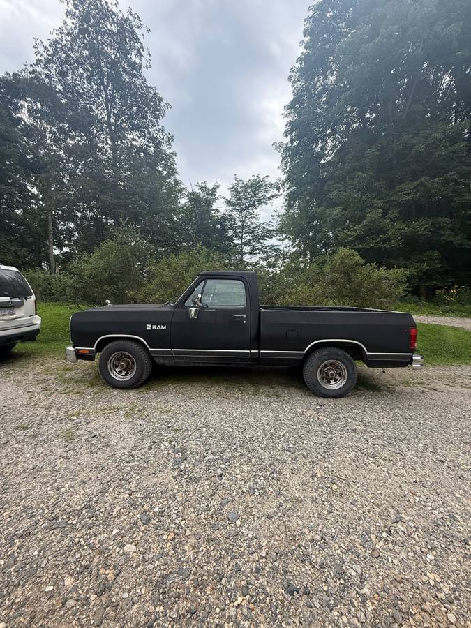 Dodge-d100-1989-black