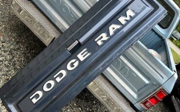 Dodge-d100-1989-blue-14