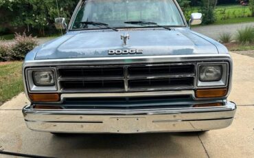 Dodge-d100-1989-blue-2
