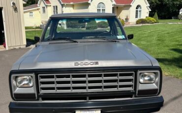 Dodge-d150-1984-grey-1