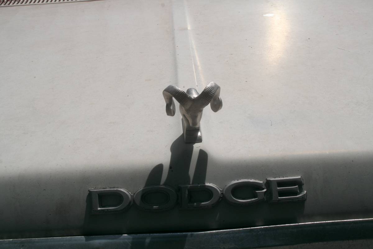 Dodge-d150-ram-1982-white-3