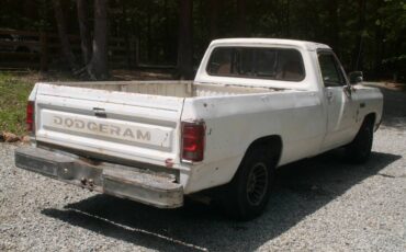 Dodge-d150-ram-1982-white-6