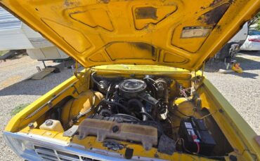 Dodge-d200-1976-yellow-3