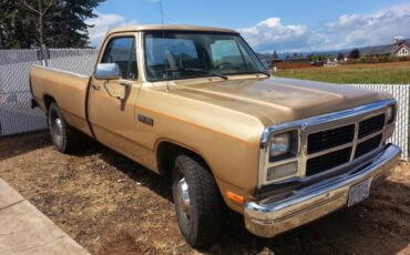 Dodge-d250-cummins-pickup-diesel-1991-brown-12