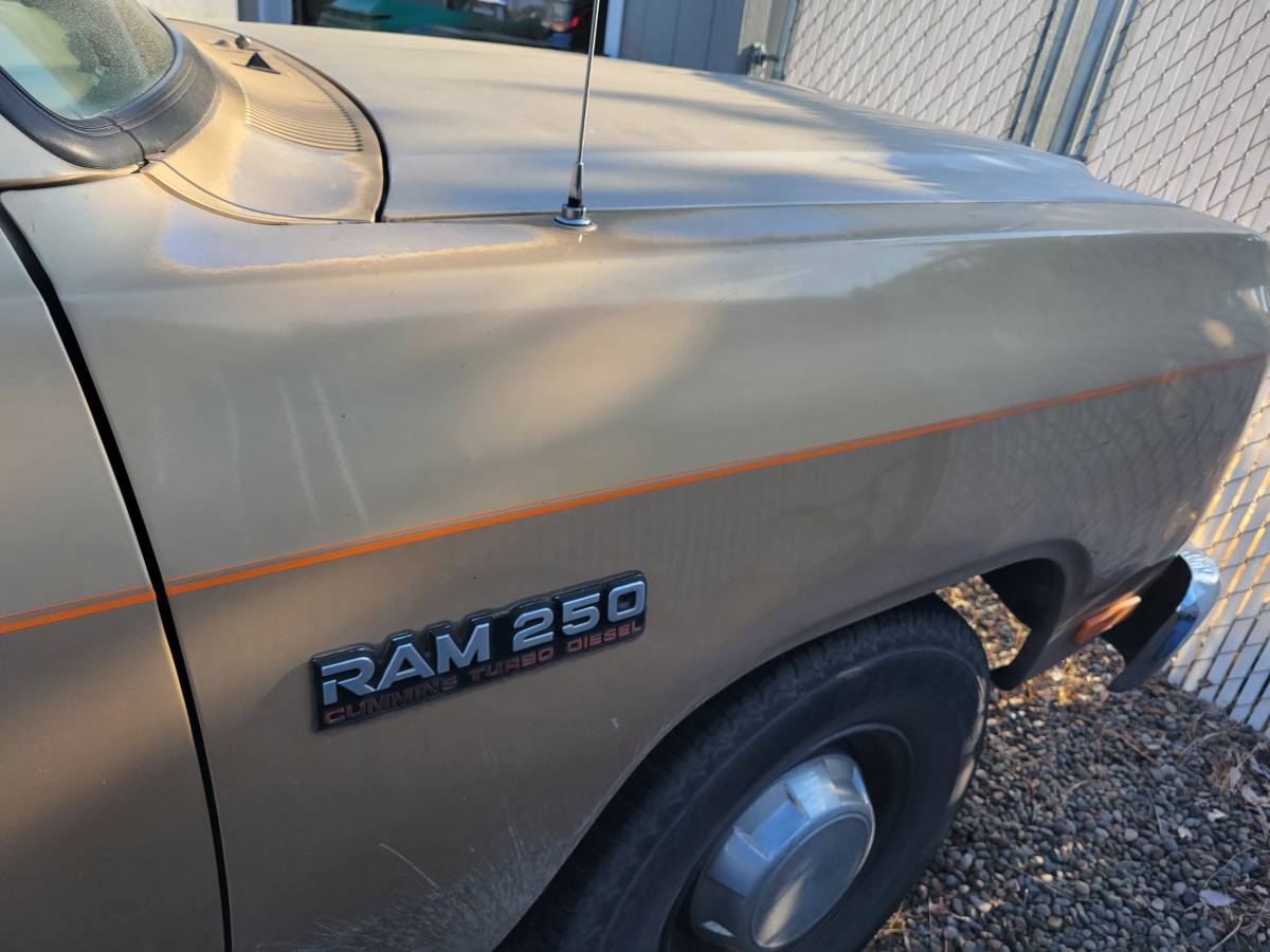 Dodge-d250-cummins-pickup-diesel-1991-brown-7