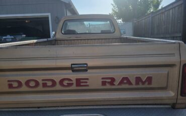 Dodge-d250-cummins-pickup-diesel-1991-brown-9