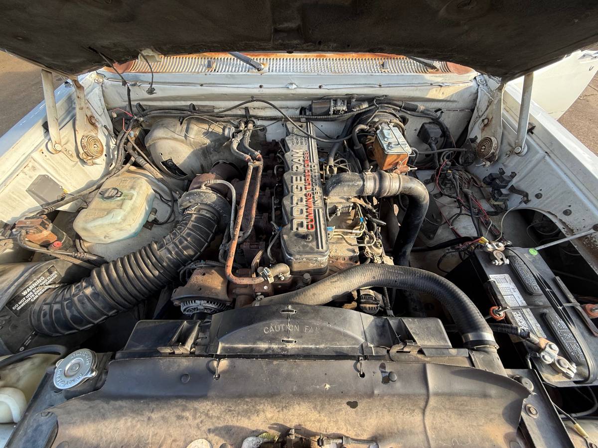 Dodge-d250-diesel-1992-white-5