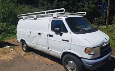 Dodge-d250-van-1994-white-3