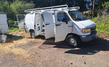 Dodge-d250-van-1994-white
