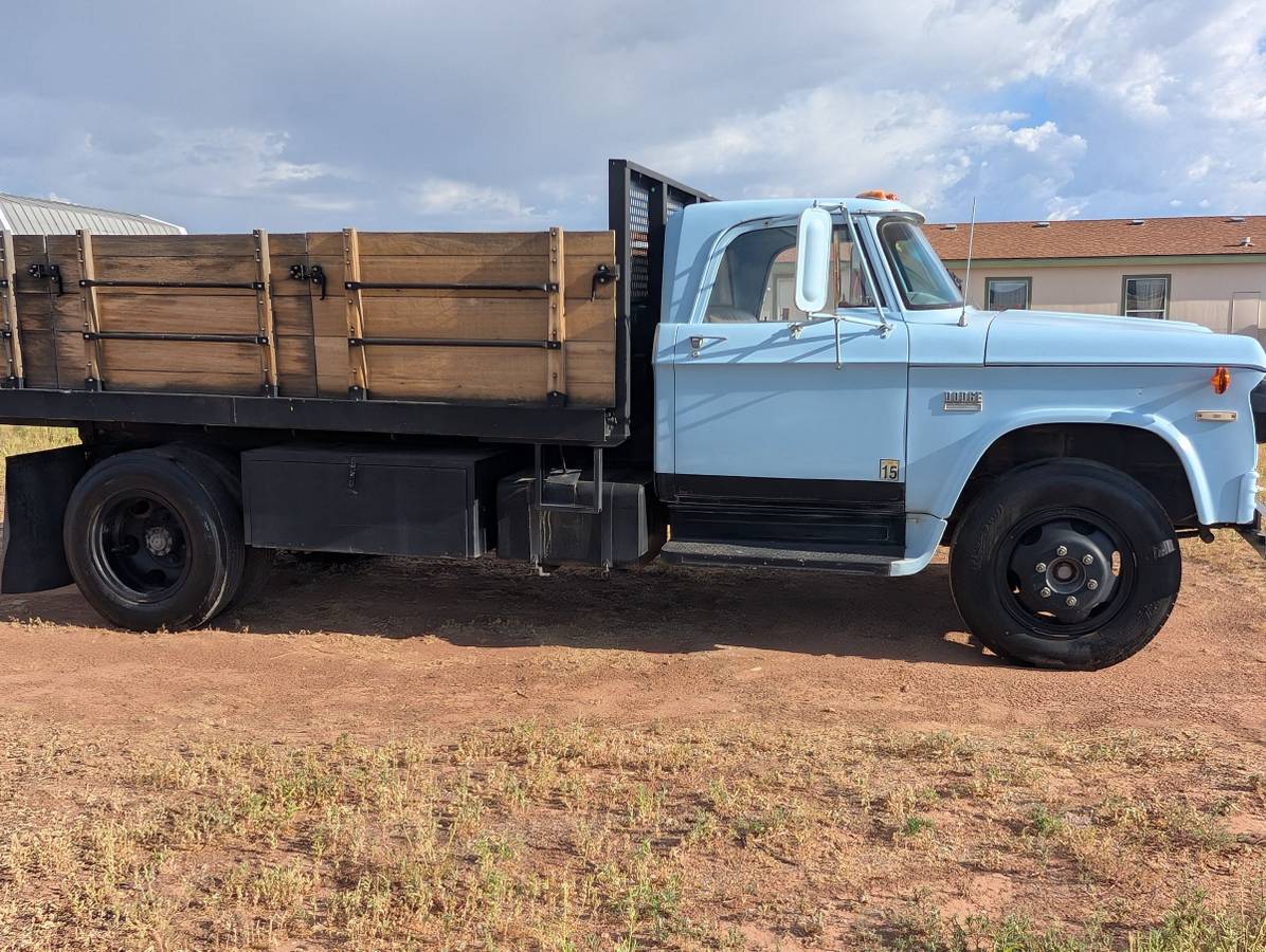 Dodge-d600-1973-blue-1