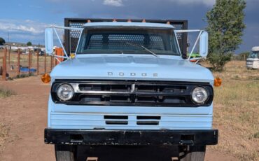 Dodge-d600-1973-blue-2