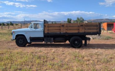 Dodge-d600-1973-blue-3