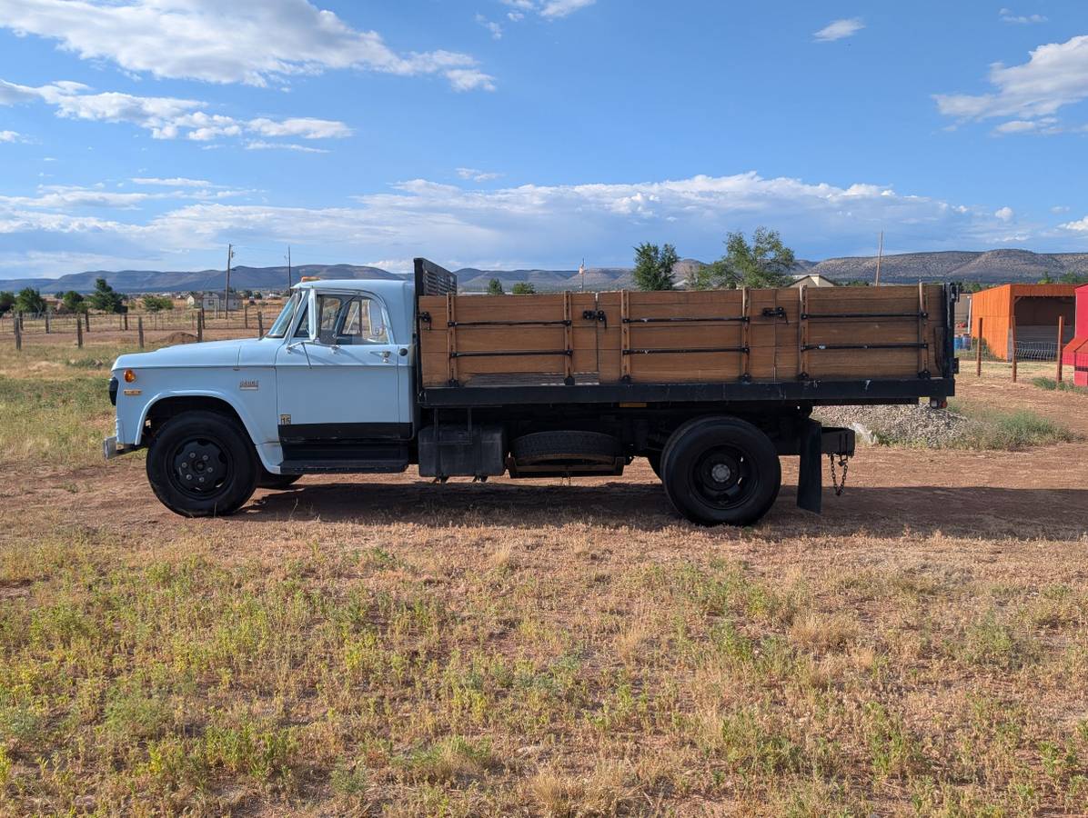 Dodge-d600-1973-blue-3