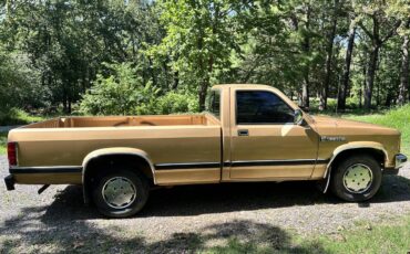 Dodge-dakota-1987-1