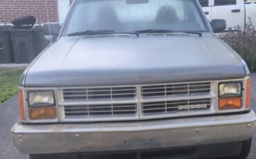 Dodge-dakota-1988-grey-1