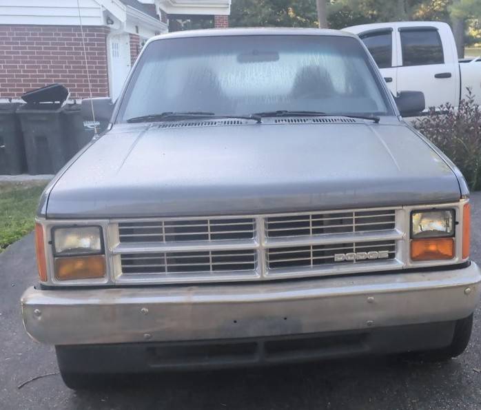Dodge-dakota-1988-grey-1