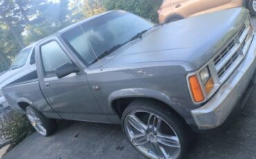 Dodge-dakota-1988-grey-3