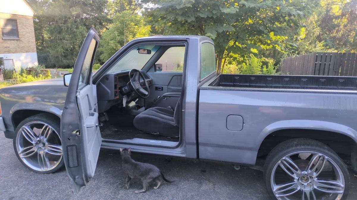 Dodge-dakota-1988-grey-5
