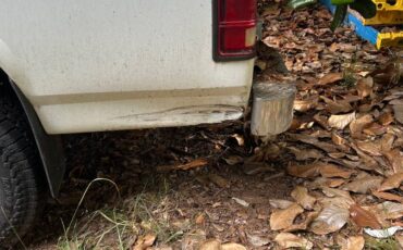 Dodge-dakota-1991-1
