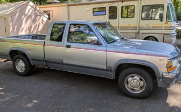 Dodge-dakota-1991-grey-2