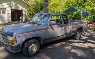 Dodge-dakota-1991-grey