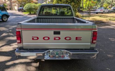 Dodge-dakota-1991-grey-6
