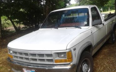 Dodge-dakota-1992-white-10