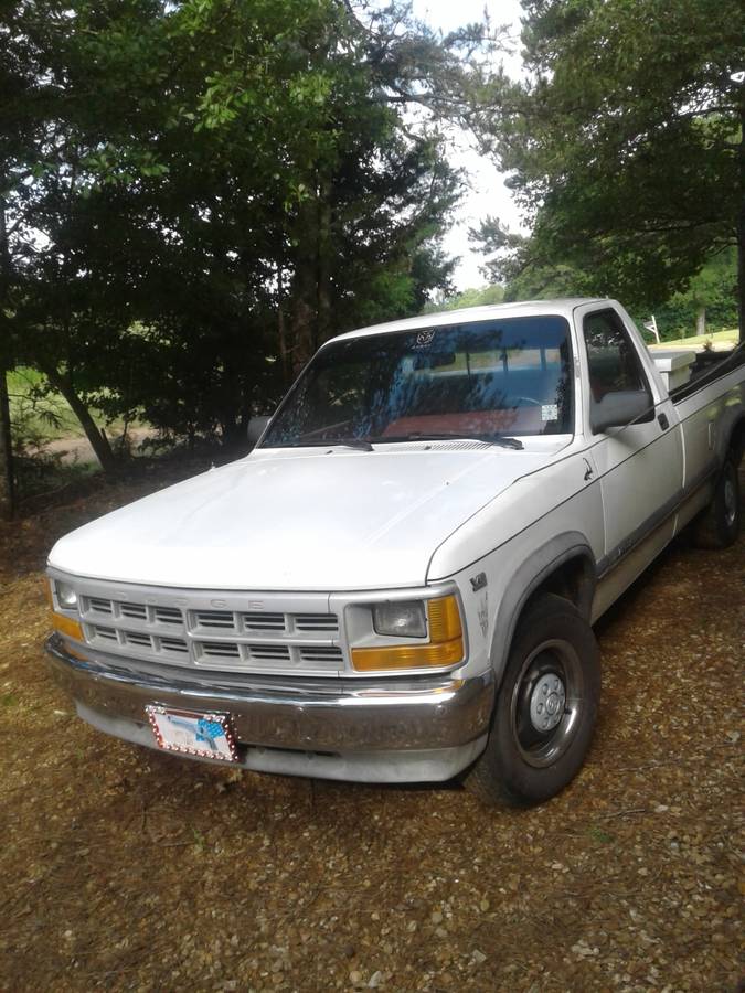 Dodge-dakota-1992-white-10