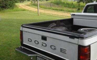 Dodge-dakota-1992-white-7