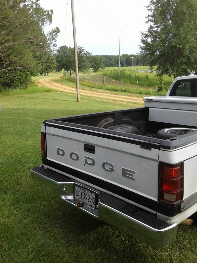 Dodge-dakota-1992-white-7