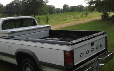 Dodge-dakota-1992-white-8