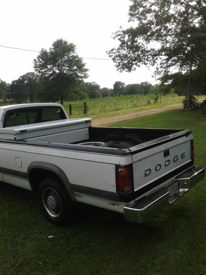 Dodge-dakota-1992-white-8