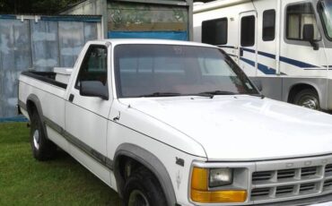 Dodge-dakota-1992-white-9