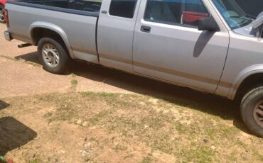 Dodge-dakota-1994-grey-2