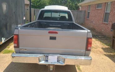 Dodge-dakota-1994-grey-5