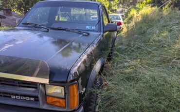 Dodge-dakota-4x4-1989-black-7