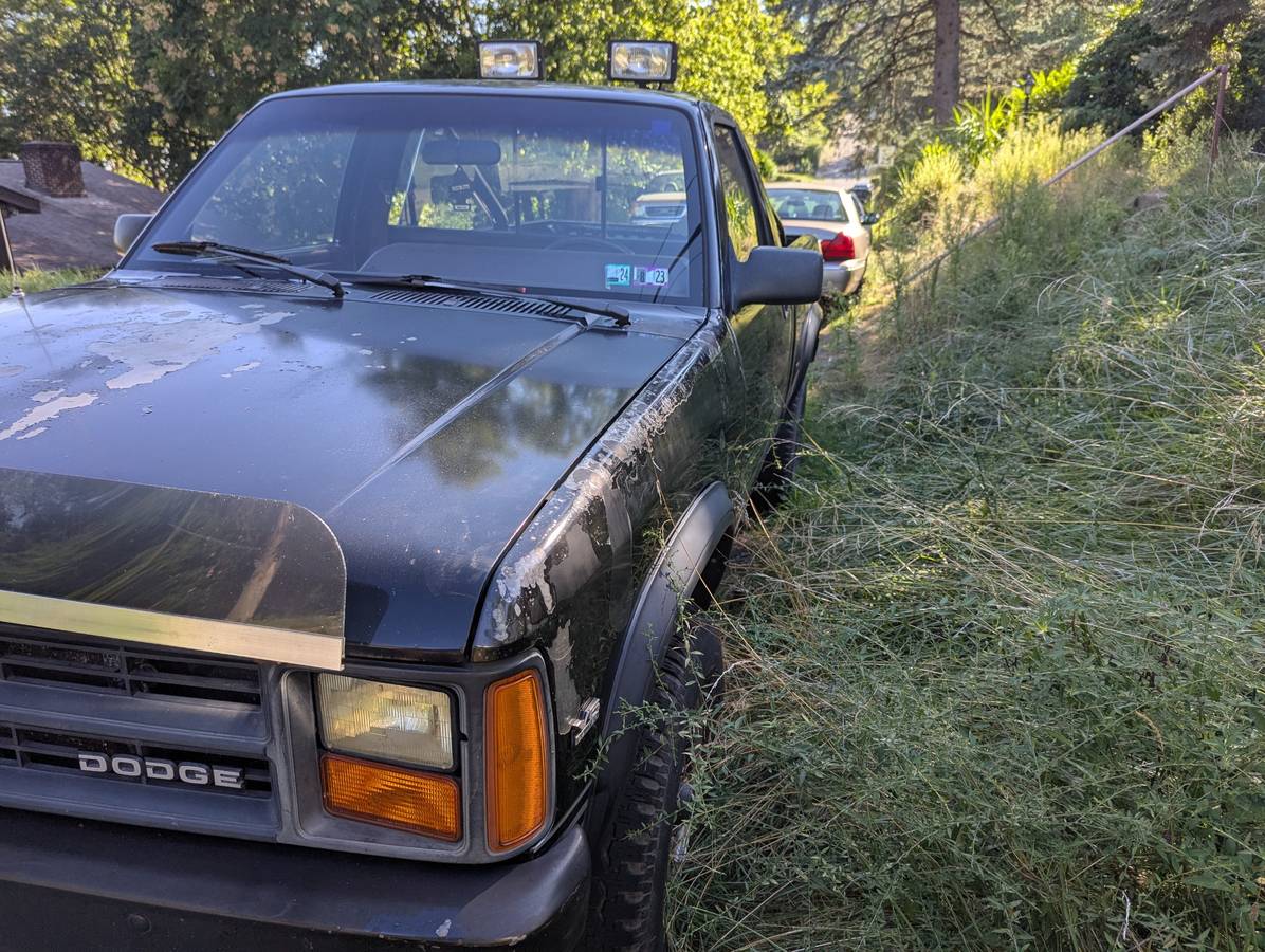 Dodge-dakota-4x4-1989-black-7