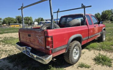 Dodge-dakota-4x4-1992-3