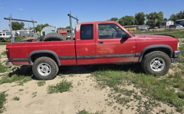 Dodge-dakota-4x4-1992-4