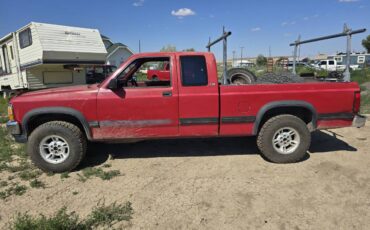 Dodge-dakota-4x4-1992-5